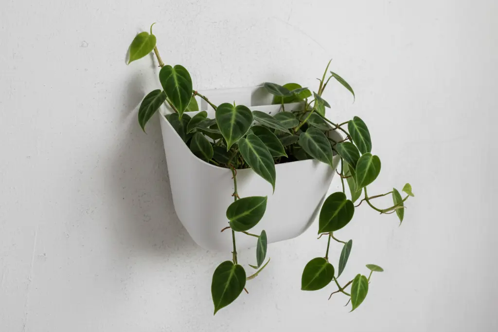 Wallplanter L Peach Pink